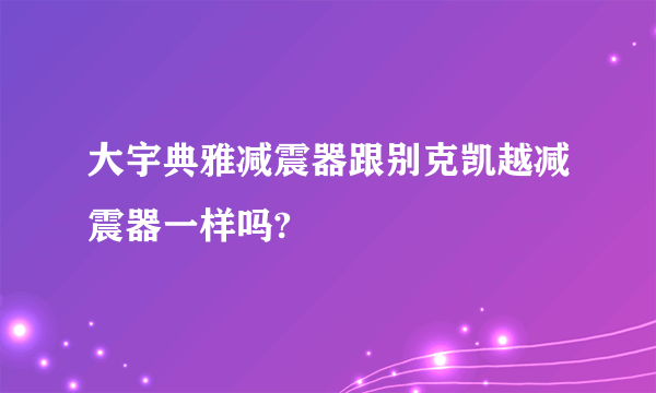 大宇典雅减震器跟别克凯越减震器一样吗?