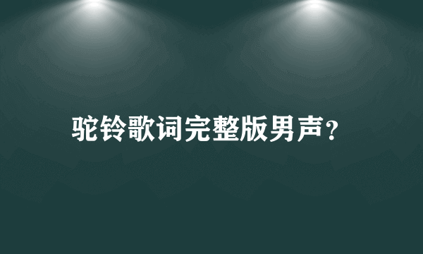 驼铃歌词完整版男声？