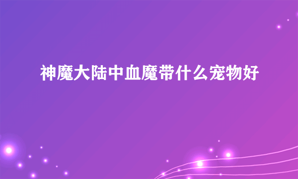 神魔大陆中血魔带什么宠物好