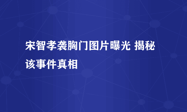 宋智孝袭胸门图片曝光 揭秘该事件真相