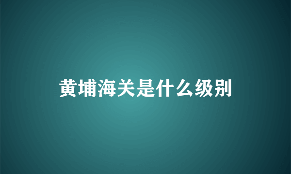 黄埔海关是什么级别