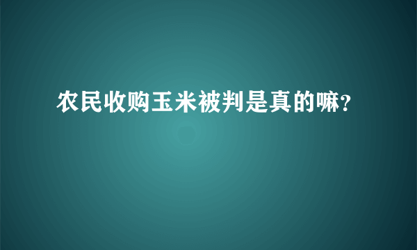 农民收购玉米被判是真的嘛？