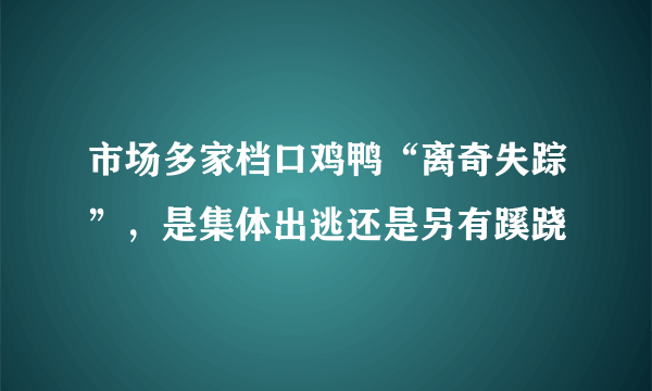 市场多家档口鸡鸭“离奇失踪”，是集体出逃还是另有蹊跷