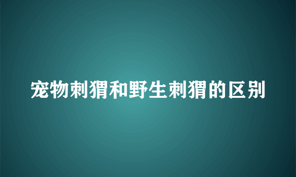 宠物刺猬和野生刺猬的区别