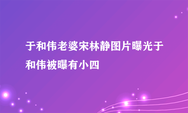 于和伟老婆宋林静图片曝光于和伟被曝有小四