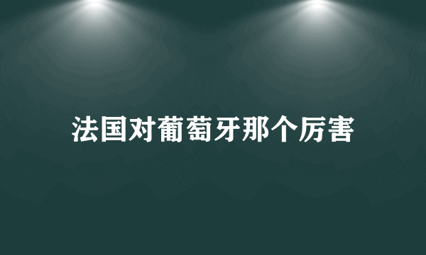 法国对葡萄牙那个厉害