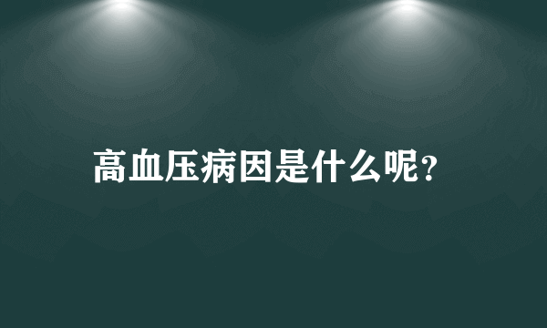 高血压病因是什么呢？