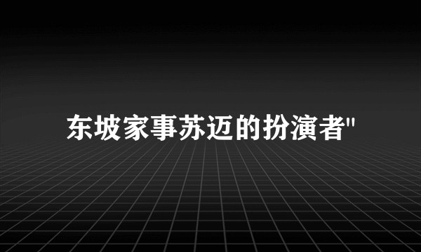 东坡家事苏迈的扮演者