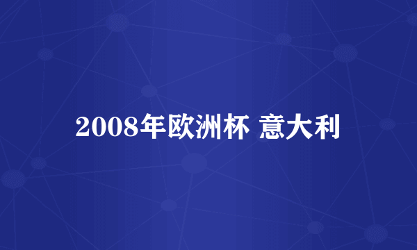 2008年欧洲杯 意大利