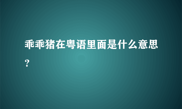 乖乖猪在粤语里面是什么意思？