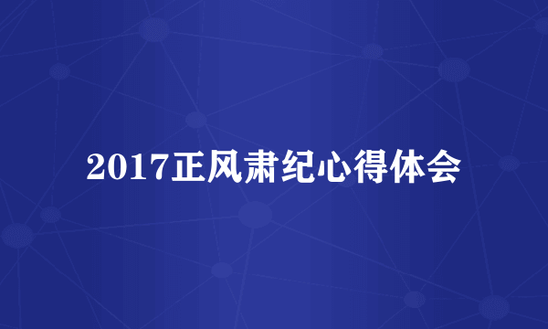 2017正风肃纪心得体会