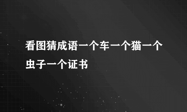 看图猜成语一个车一个猫一个虫子一个证书