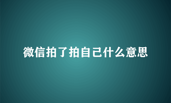 微信拍了拍自己什么意思