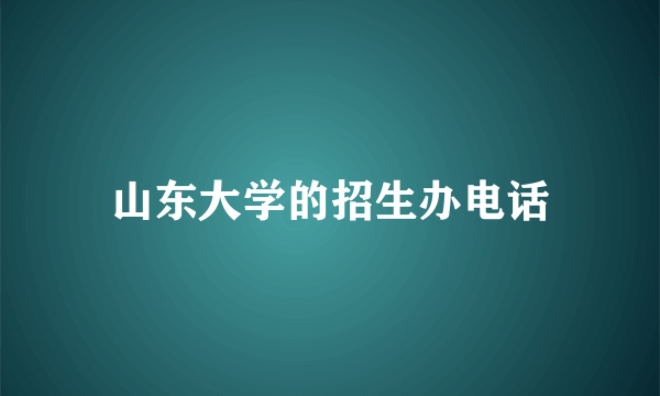 山东大学的招生办电话