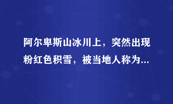 阿尔卑斯山冰川上，突然出现粉红色积雪，被当地人称为是西瓜雪