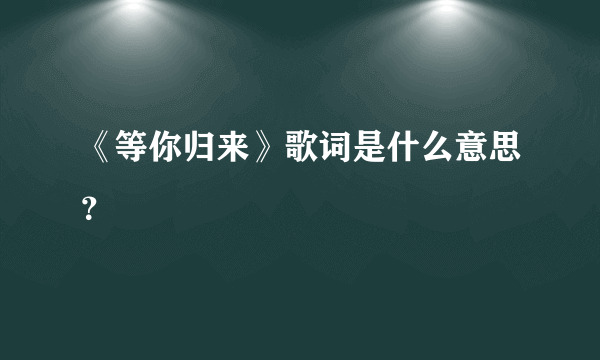 《等你归来》歌词是什么意思？