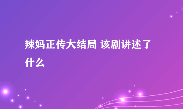 辣妈正传大结局 该剧讲述了什么