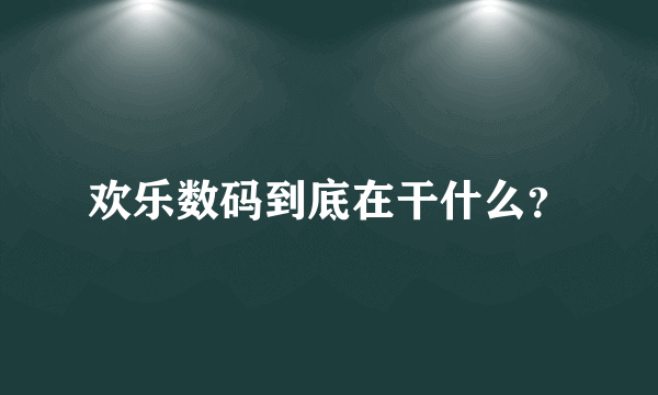 欢乐数码到底在干什么？