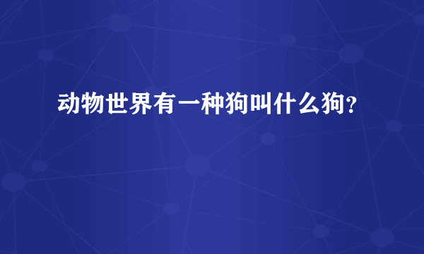 动物世界有一种狗叫什么狗？