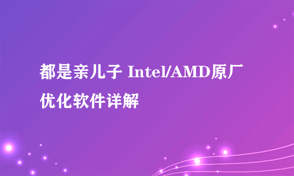 都是亲儿子 Intel/AMD原厂优化软件详解