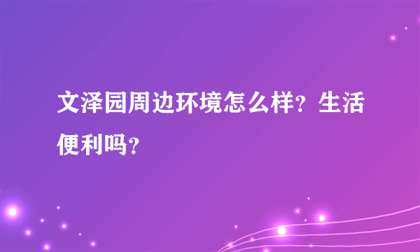 文泽园周边环境怎么样？生活便利吗？