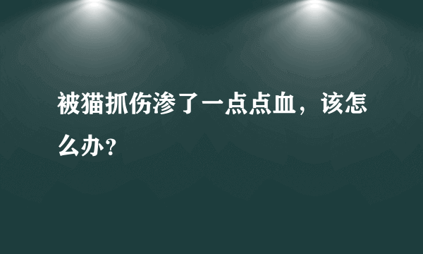 被猫抓伤渗了一点点血，该怎么办？