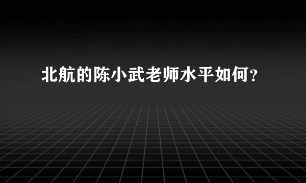 北航的陈小武老师水平如何？