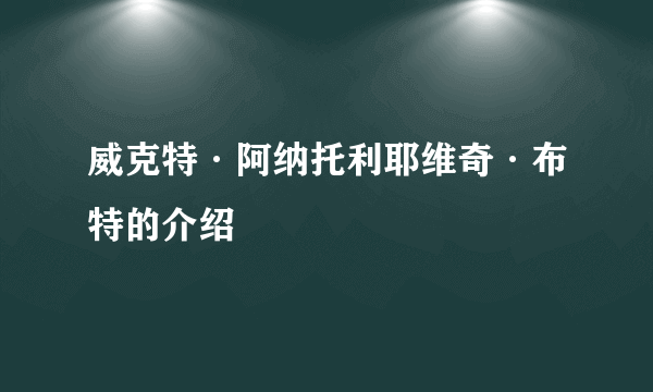 威克特·阿纳托利耶维奇·布特的介绍