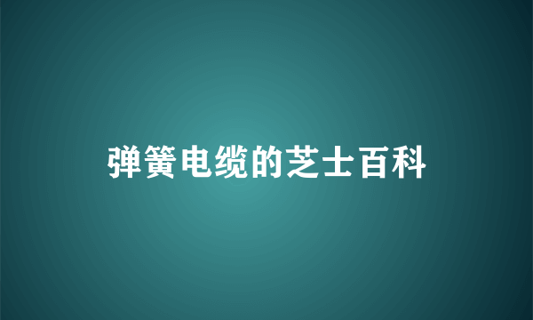 弹簧电缆的芝士百科