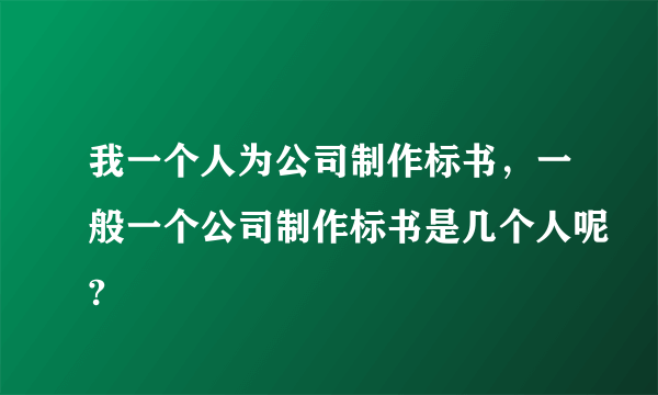 我一个人为公司制作标书，一般一个公司制作标书是几个人呢?