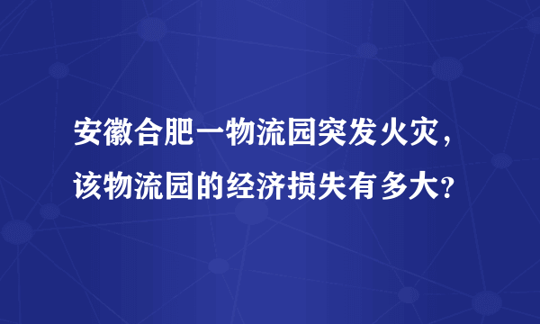 安徽合肥一物流园突发火灾，该物流园的经济损失有多大？