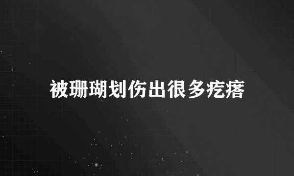 被珊瑚划伤出很多疙瘩