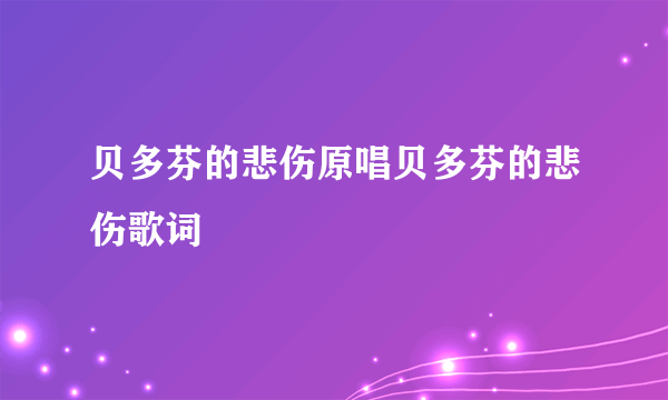 贝多芬的悲伤原唱贝多芬的悲伤歌词