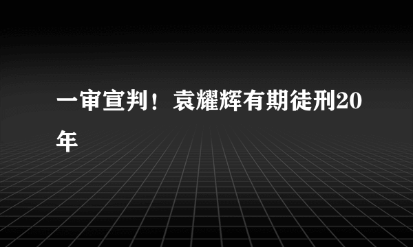 一审宣判！袁耀辉有期徒刑20年