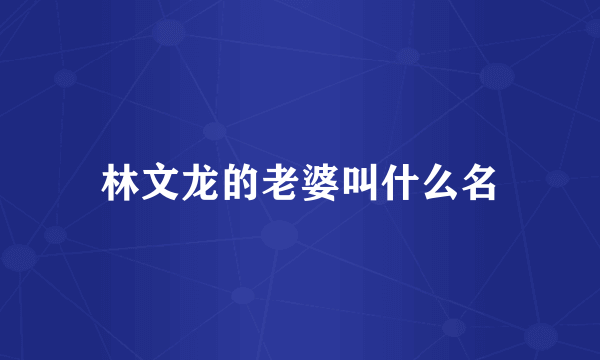 林文龙的老婆叫什么名