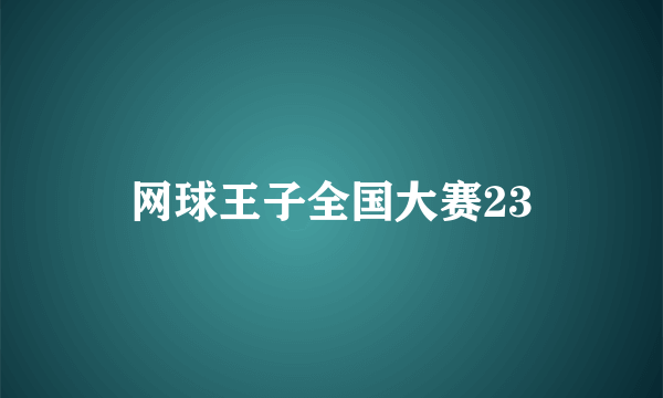 网球王子全国大赛23