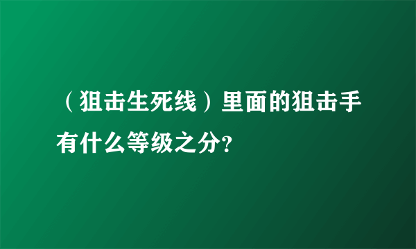 （狙击生死线）里面的狙击手有什么等级之分？