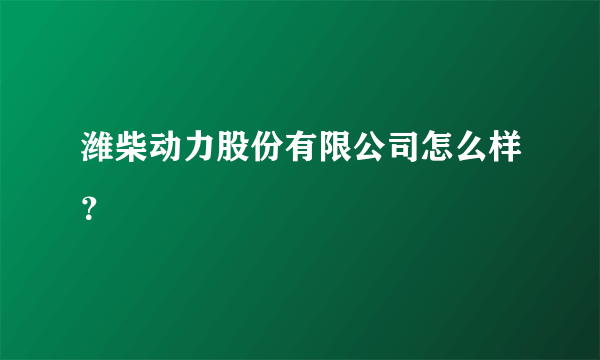 潍柴动力股份有限公司怎么样？