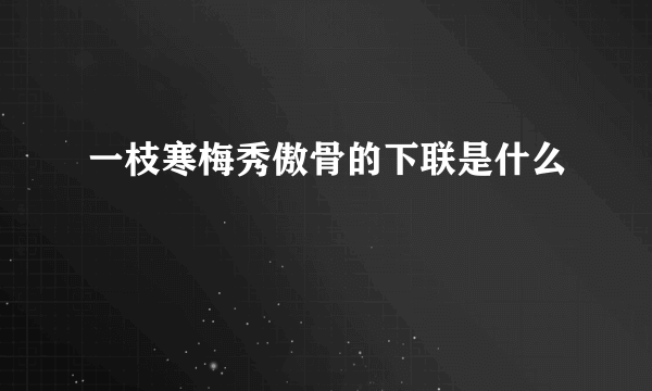 一枝寒梅秀傲骨的下联是什么