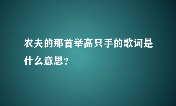 农夫的那首举高只手的歌词是什么意思？