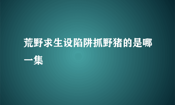 荒野求生设陷阱抓野猪的是哪一集