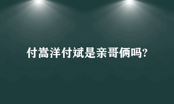 付嵩洋付斌是亲哥俩吗?