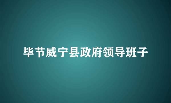 毕节威宁县政府领导班子