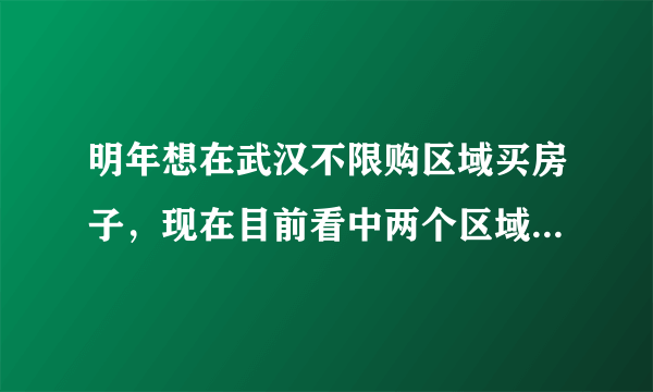 明年想在武汉不限购区域买房子，现在目前看中两个区域，横店和汉口北，纠结买哪里好？