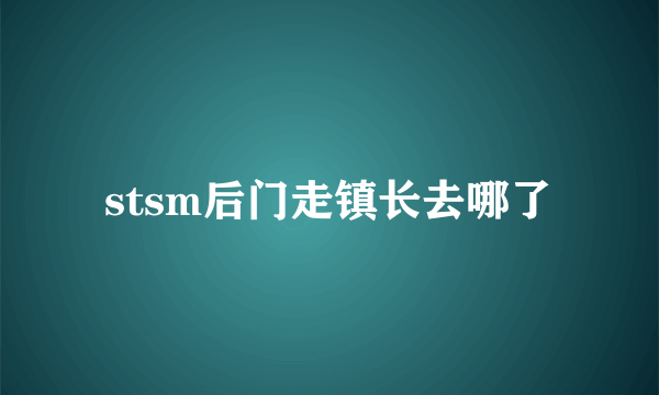 stsm后门走镇长去哪了