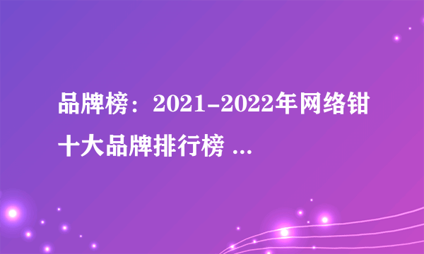 品牌榜：2021-2022年网络钳十大品牌排行榜 投票结果公布【新】