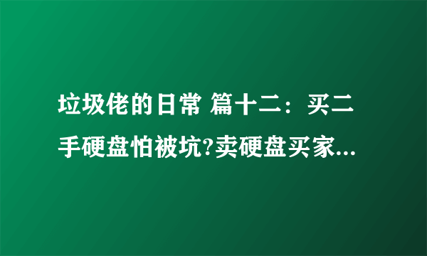 垃圾佬的日常 篇十二：买二手硬盘怕被坑?卖硬盘买家要一堆图？简单聊一聊二手硬盘的选购与检测工具