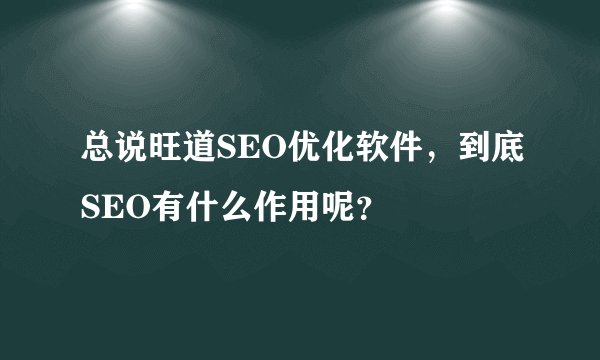 总说旺道SEO优化软件，到底SEO有什么作用呢？