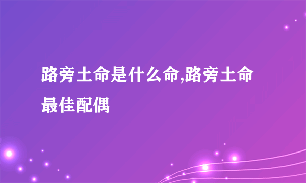 路旁土命是什么命,路旁土命最佳配偶