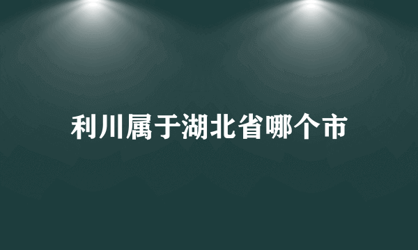 利川属于湖北省哪个市